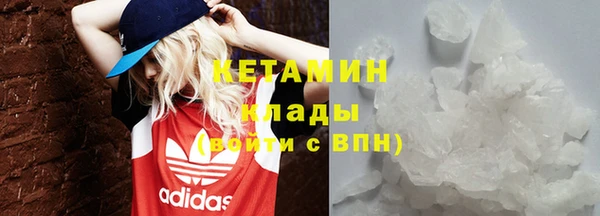 стафф Алзамай
