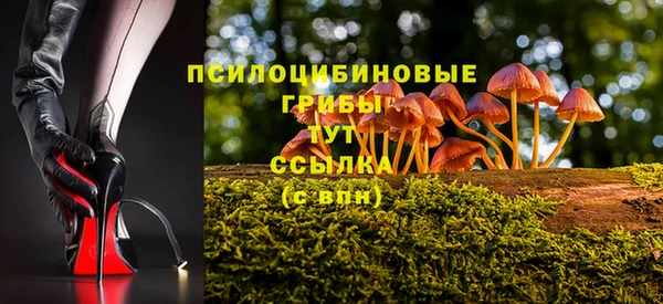 скорость Алексин