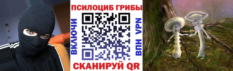 Галлюциногенные грибы ЛСД  Находка 