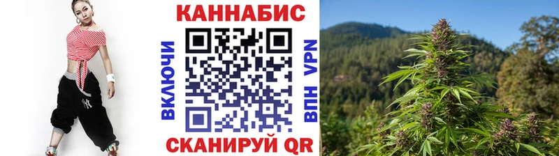 Шишки марихуана планчик  как найти наркотики  Находка 